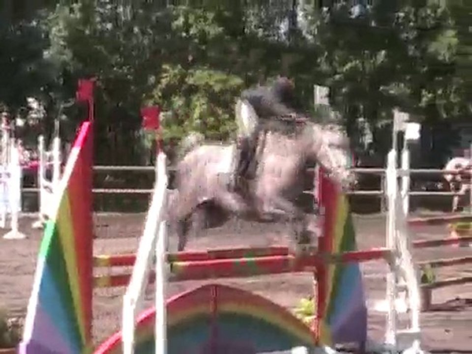 PONEY D 7 ANS CSO / CCE (WWW.EQUIRODI.COM)