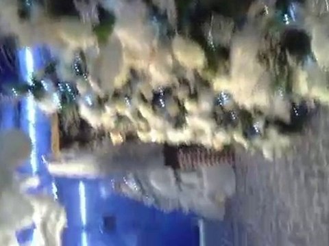 marche de noel de vive le jardin lexy 2010