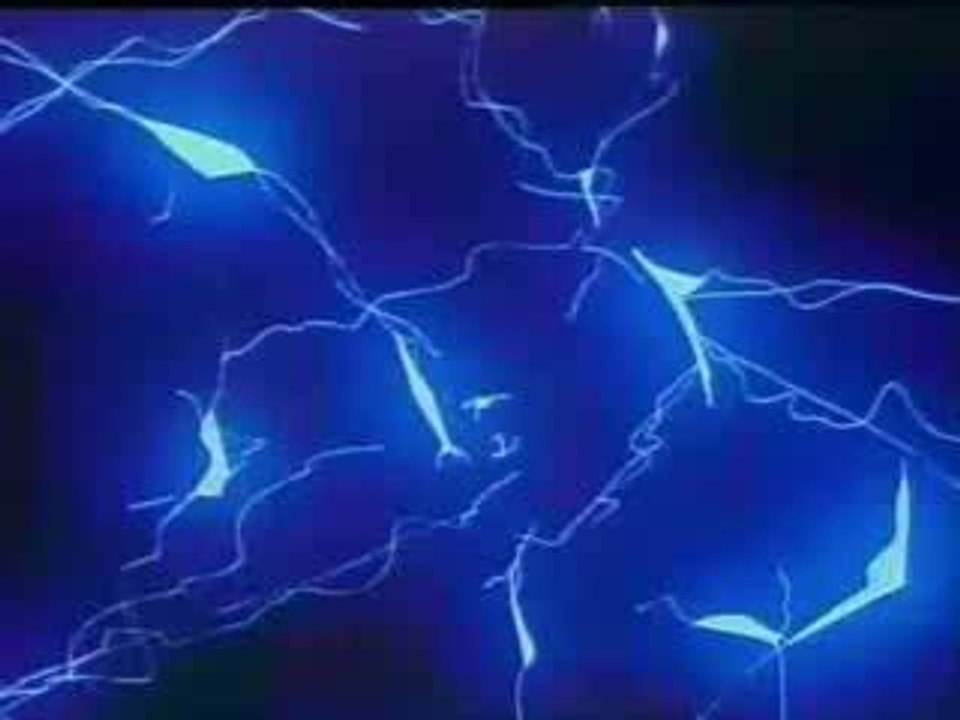 Yu Yu Hakusho Liberate