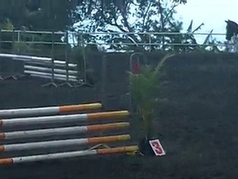 31.10.10-CSO club au CEM-prépa80 - AngélineHérold