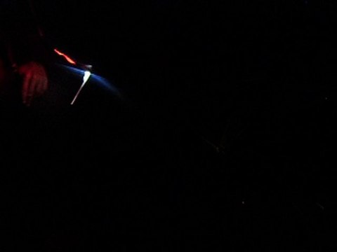 Rupture 1000 cbr rr au Mans 2010