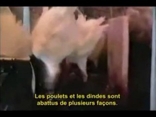 Earthlings ( Terriens ) version française partie 3