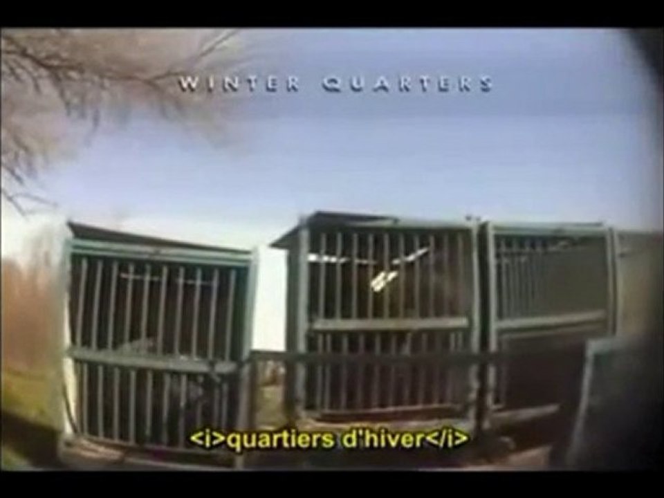 Earthlings ( Terriens ) version française partie 5