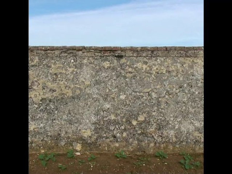 Mur de Sandra Schmalz