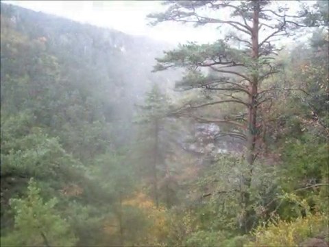 2010.10.24 - Les Templiers 2010 - deuxième partie