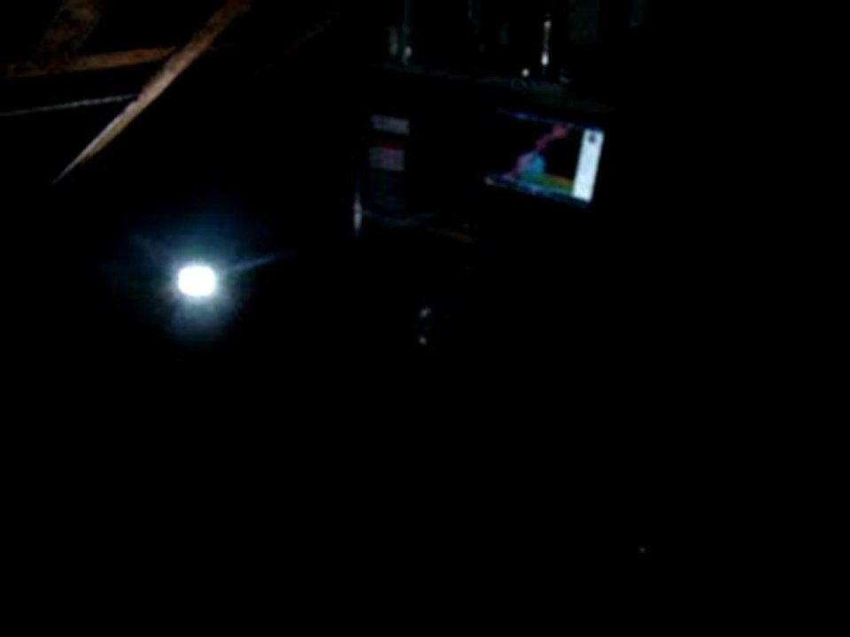 HALLOWEEN bat attic party 2010