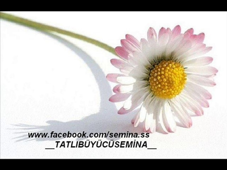 EKREM DÜZGÜNOĞLU HASRET ___tatlıbüyücüsemina___