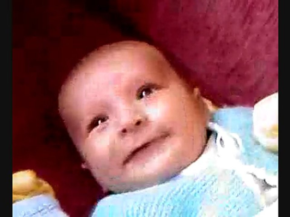 şirin bebek ali paşa