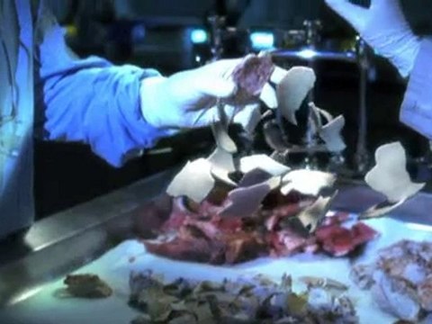 CSI - Episode 11.07 - Bump and Grind - Sneak Peek