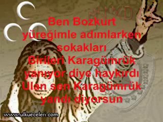 Ülkücü Bir Kiz Sevdim