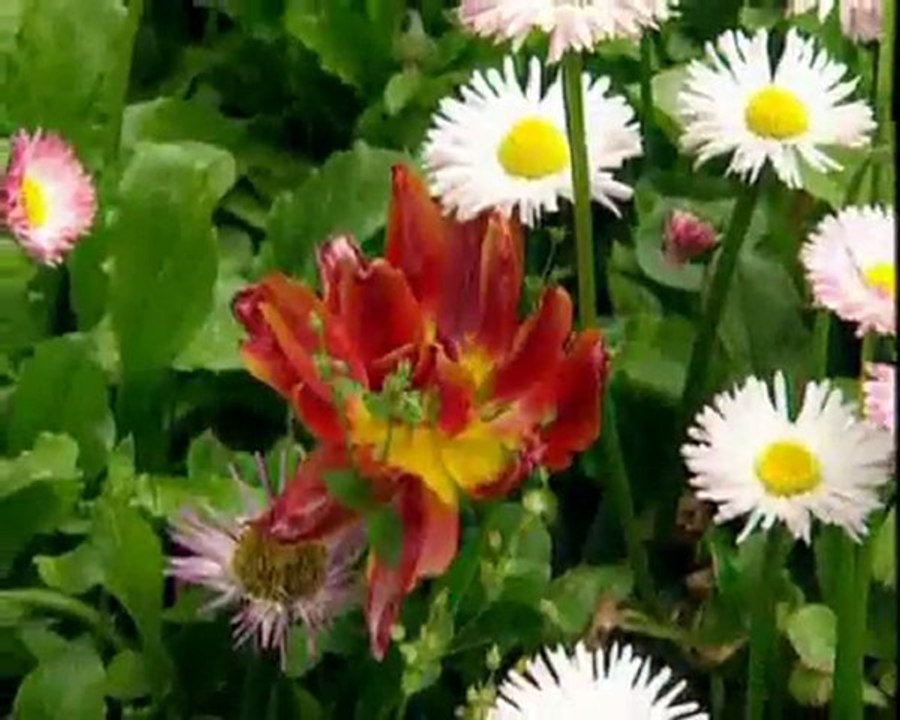 Veysel Karani Hazretleri-2