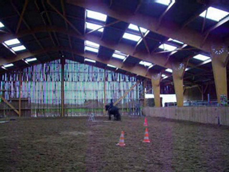 Lignes courbes novembre10