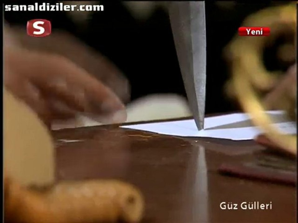 Guz.Gulleri.BL.04._(3)