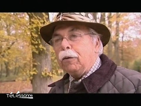 Attention! Les sangliers sont en chaleur! (Essonne)