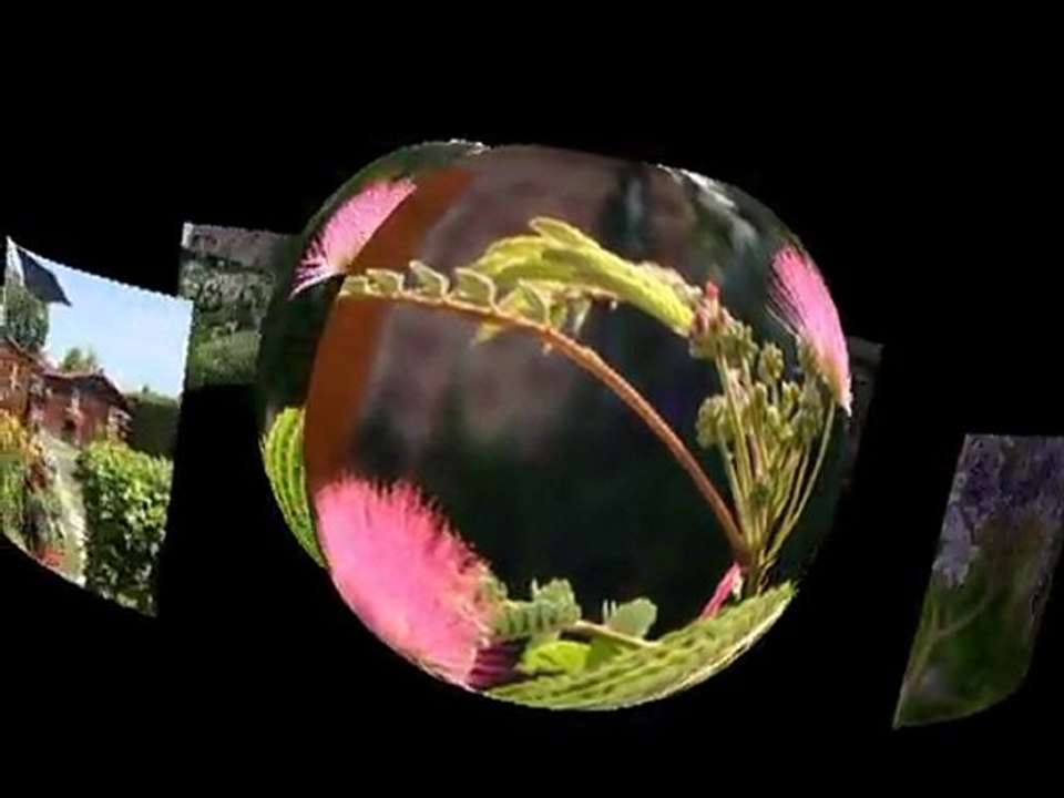 Diaporama maisons fleuries 2010