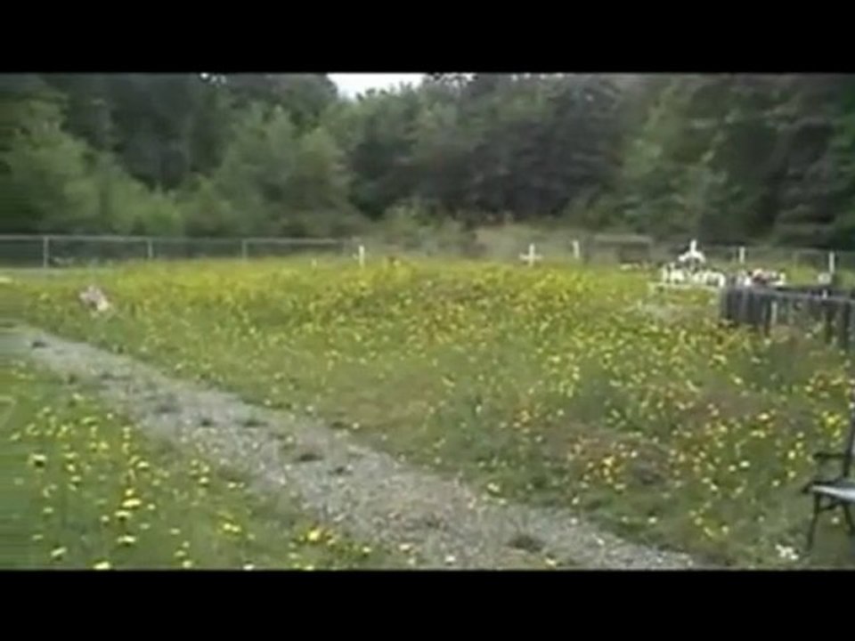 UNREPENTANT -- Kevin Annett and Canada's Genocide 1of11