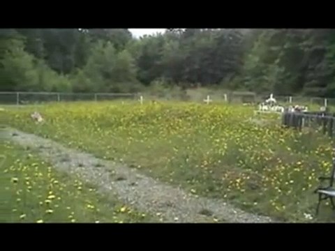 UNREPENTANT Kevin Annett and Canada's Genocide 1of11