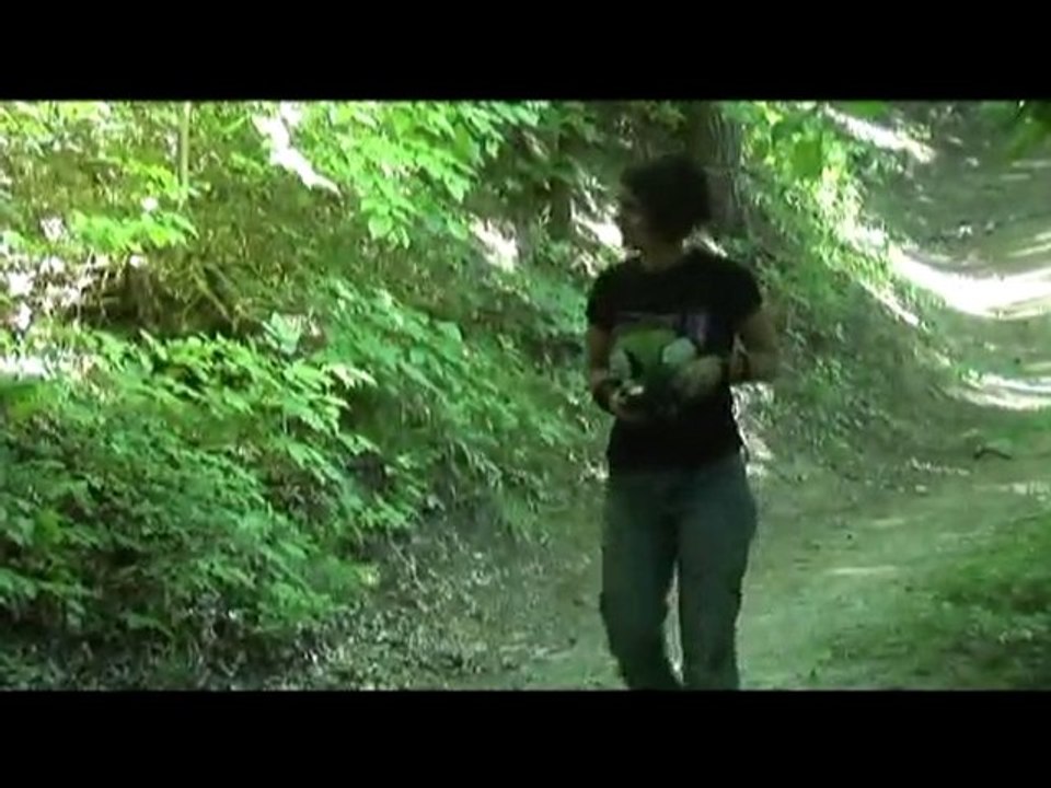 Fishing for Love