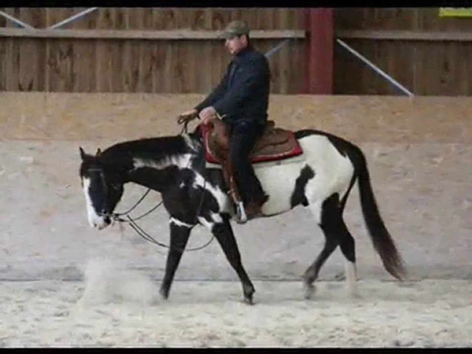 LDF MUCHA DIAMOND AU TRAVAIL AUX ECURIES RED SPRING