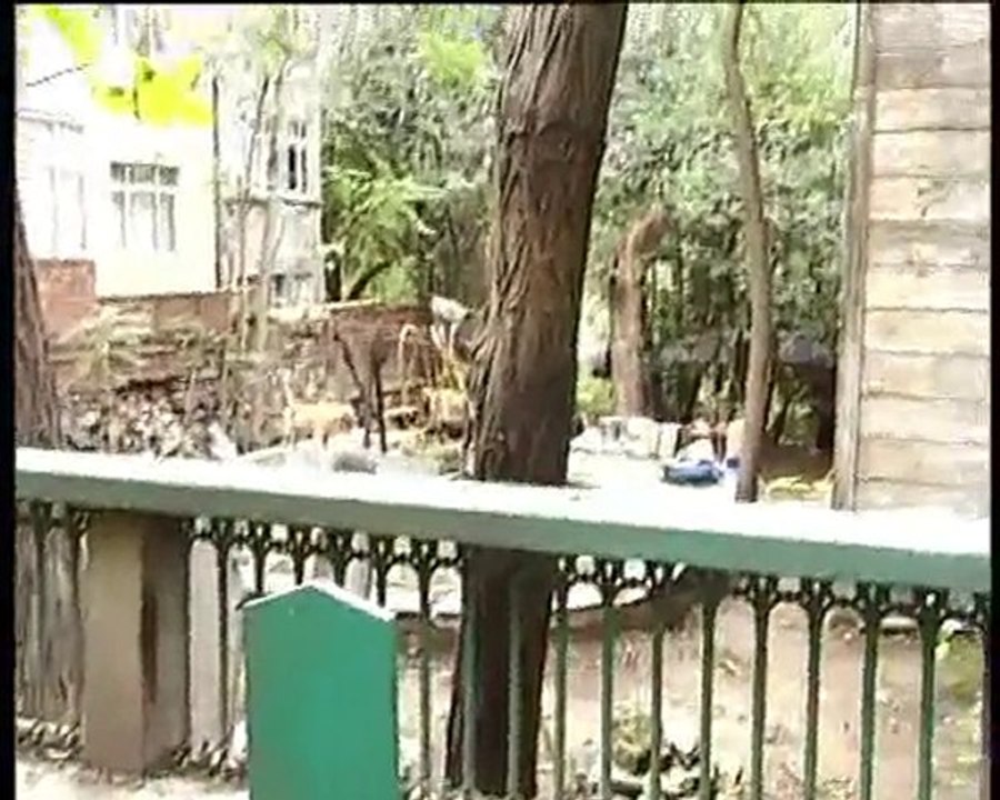 Mustafa İzzi Efendi