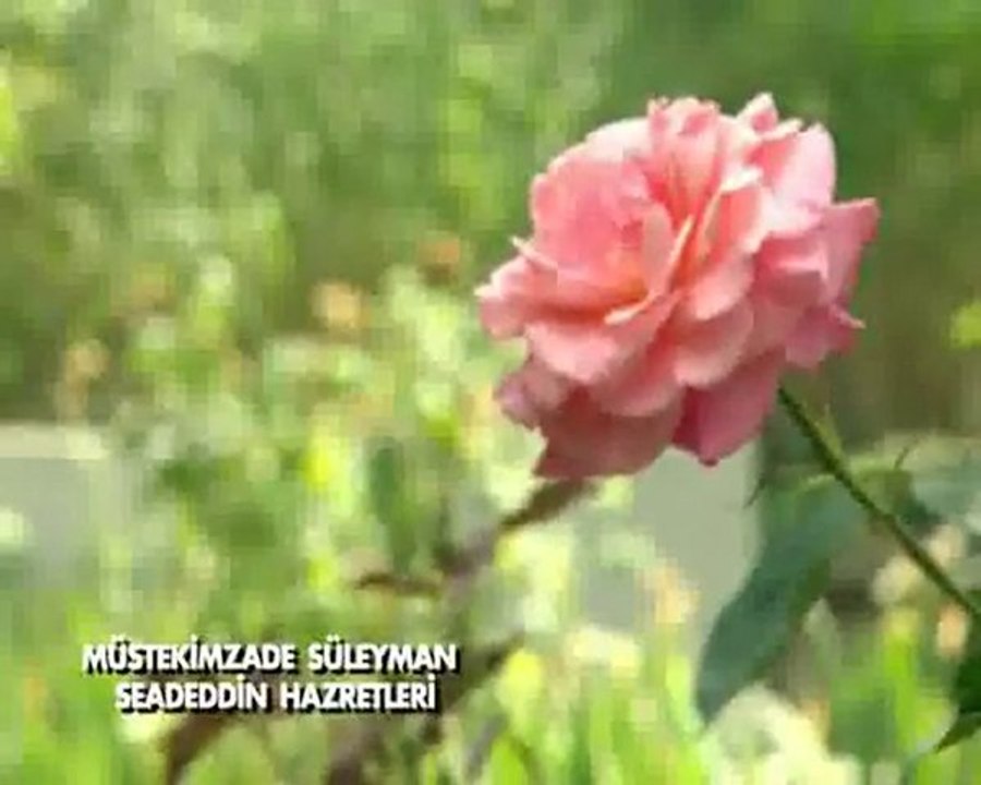 Müstekimzade Süleyman Seadeddin Hazretleri