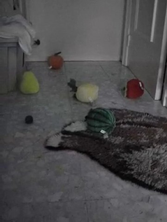 MOV06149.MPG-1 YOTA et les Moulins à vent