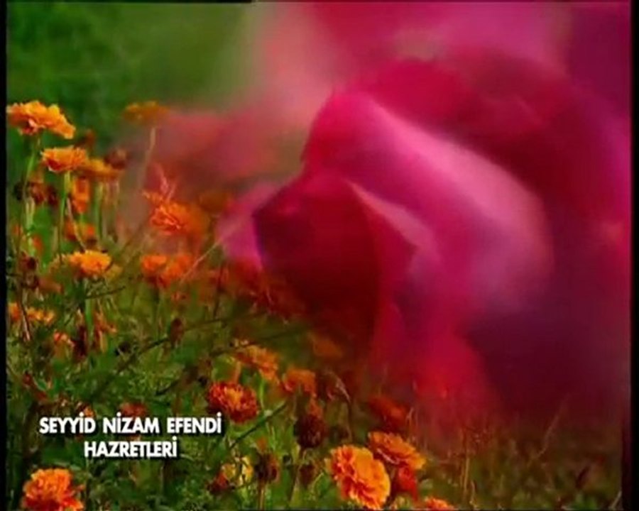 Seyyid Nizam Efendi Hazretleri