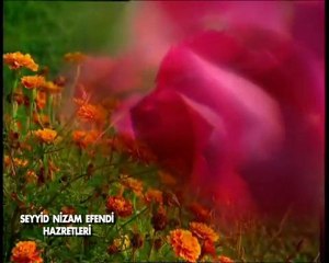 Seyyid Nizam Efendi Hazretleri