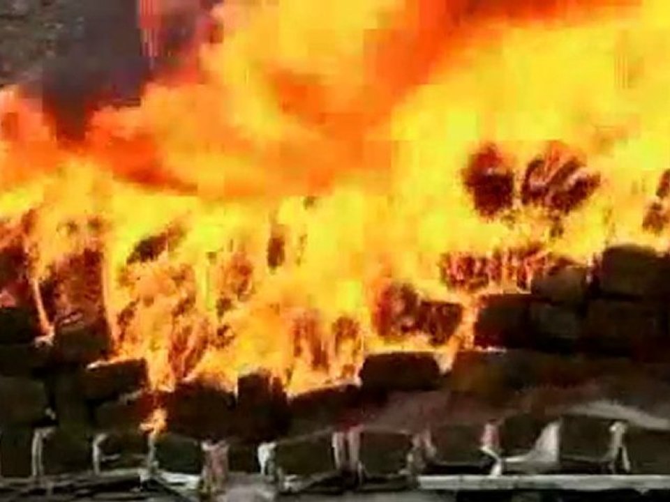 mexico burns 105 tons of weed