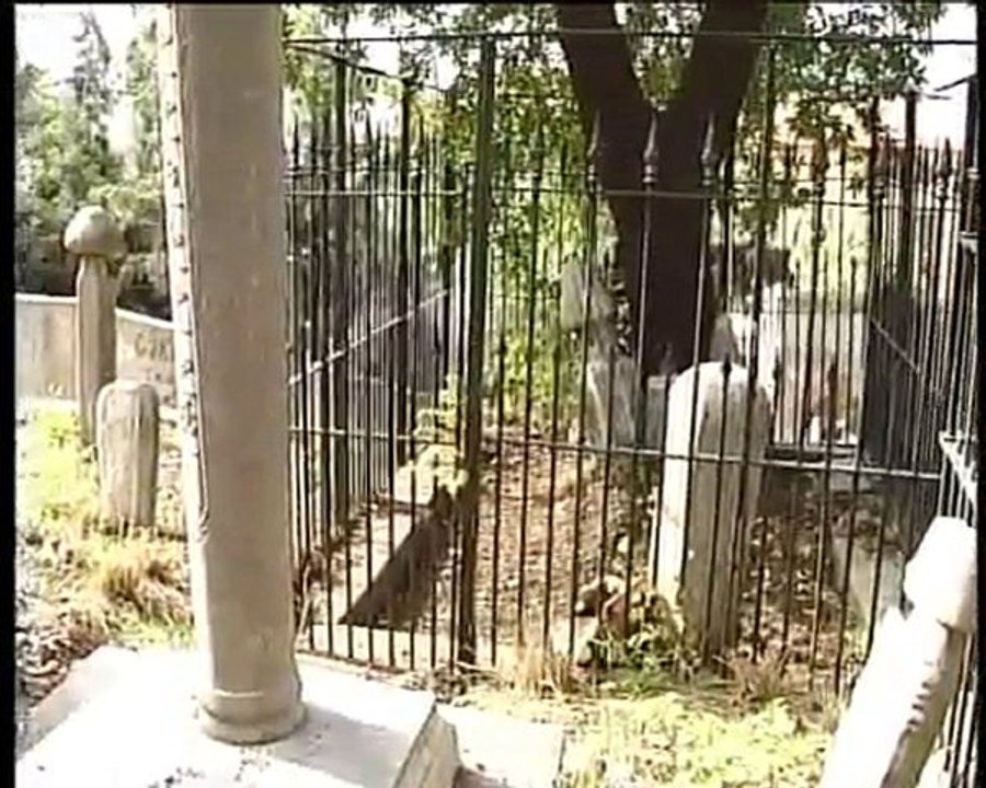 Yusuf Sinaneddin Hazretleri