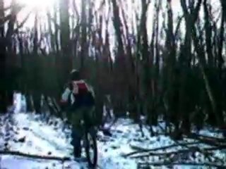 la créte des pins sous la neige