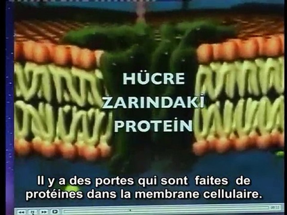 L'intelligence dans la membrane cellulaire