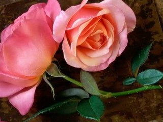 suçlu  benim Gülsen Varol (şiir piano)