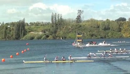 Médaille d'or en 4- / Championnat du monde 2010