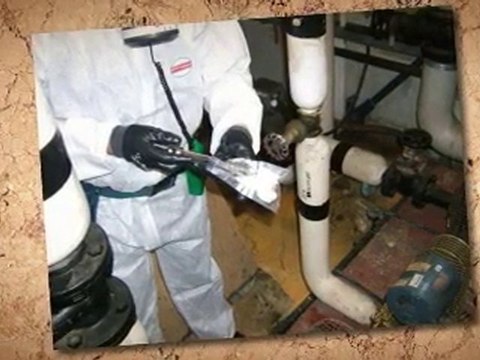 Grants for Asbestos Removal Chicago IL