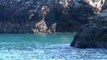 Охота на дельфинов в Японии продолжается