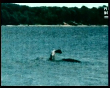 Forces obscures >> Créatures inconnues (4)