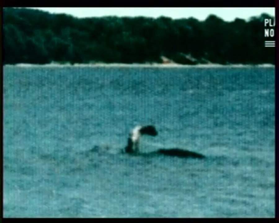 Forces obscures >> Créatures inconnues (4)