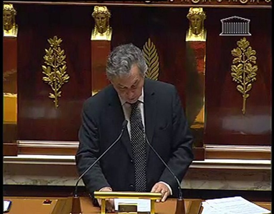 101104explication de vote budget de la culture