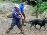 Glissement de terrain au Costa Rica : 20 morts et 12 disparus