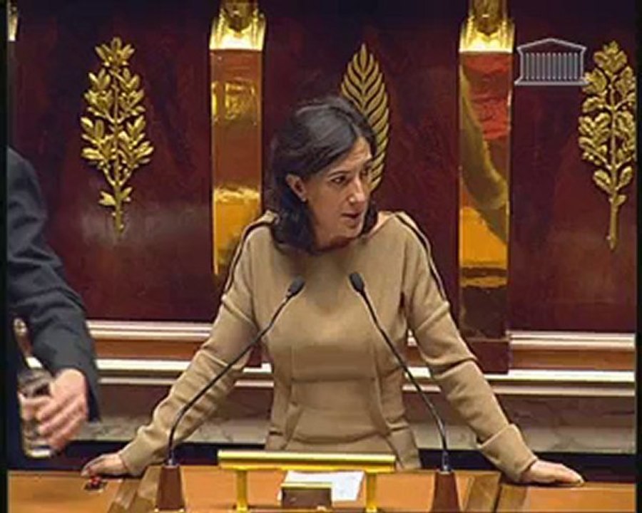 Intervention de Sandrine Mazetier sur le budget immigration