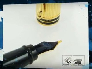 Aurora Ipsilon Fountain Pen - Resin & Gold Plated Cap -Pluma