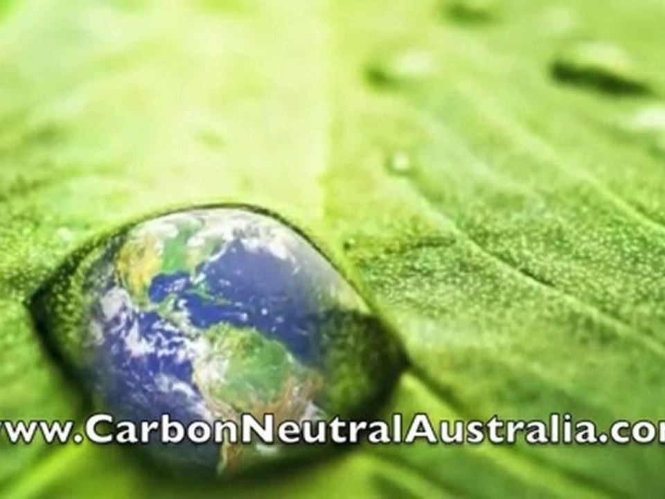 A Business Carbon Footprint