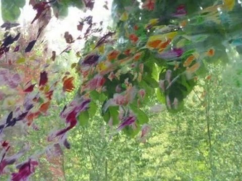 E.M.O Festival Normandie Impressionniste 2010