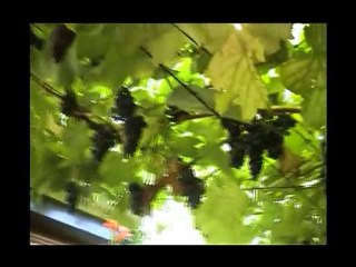 Villefeuj - Les Encombrants