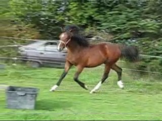 Vizio Penn ar Bed oct.2010 1