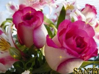 KÖNNYCSEPPEK AZ UT PORÁBAN