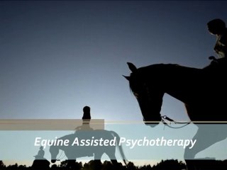 Equine Assisted Psychotherapy Los Angeles And Ventura County