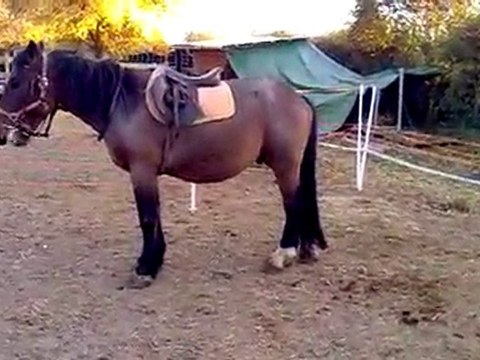 ulysse travail en liberté