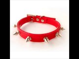 Top 3 Spiked Leather Dog Collars